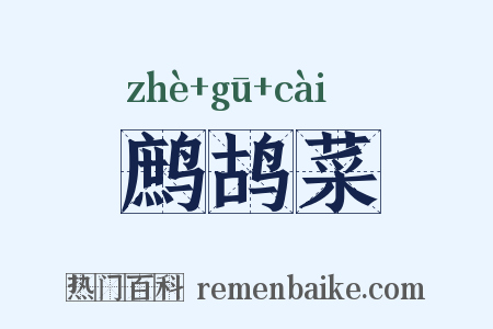 鹧鸪菜是什么意思的图片